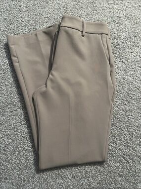 Express Women's Taupe Trousers